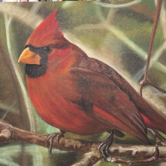 Meet your Posher, Amanda - Picture 1 of 1